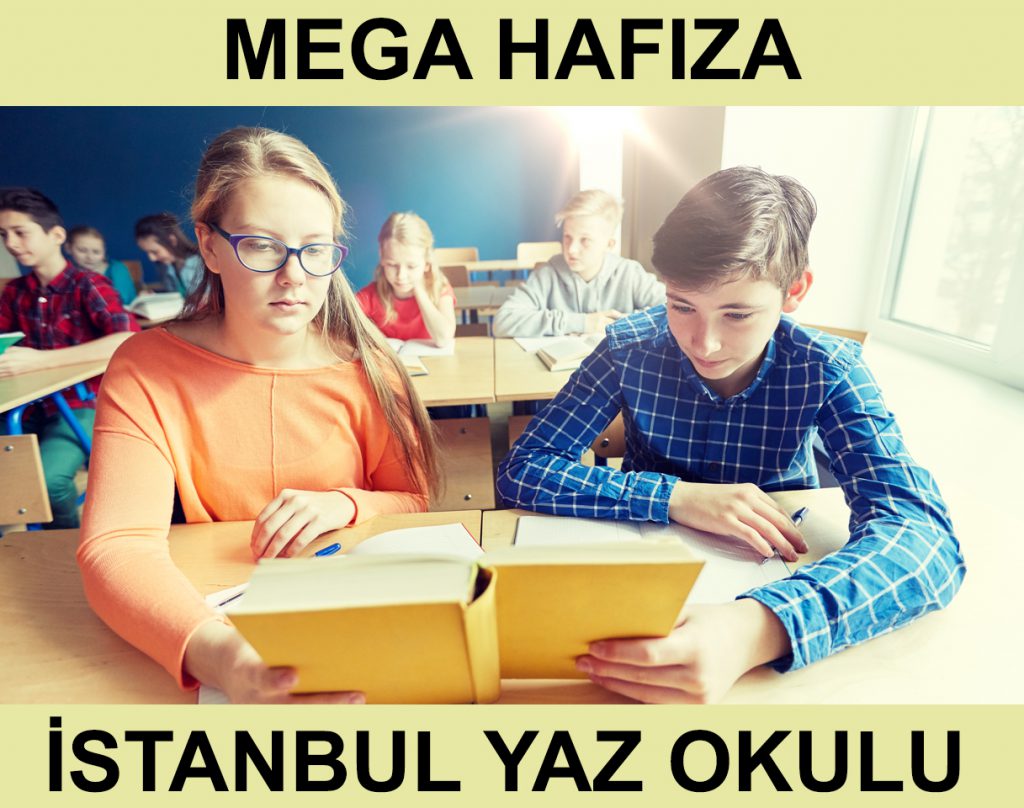 Istanbul Yaz Okulu - Mega Hafıza - Mega Beyin Dergisi